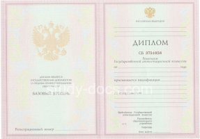 Диплом колледжа 2003-2006 в Росто́ве-на-Дону́