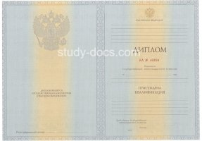 Диплом специалиста 2012-2013 в Росто́ве-на-Дону́