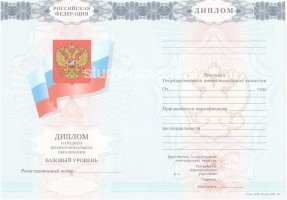 Диплом техникума 2007-2010 в Росто́ве-на-Дону́